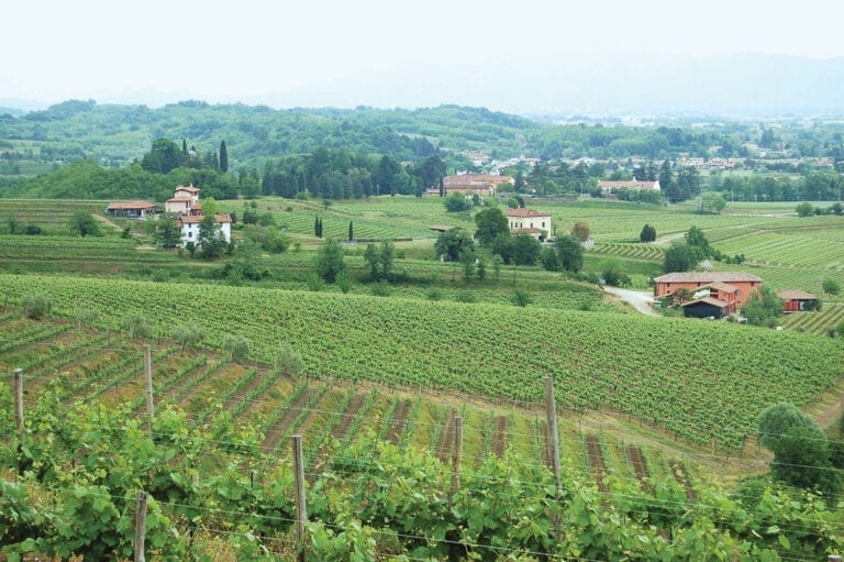 Delicious Summer Entertaining Tips, Italian Style Pighin Collio estate and vineyards