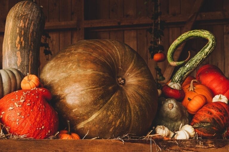 Pumpkins