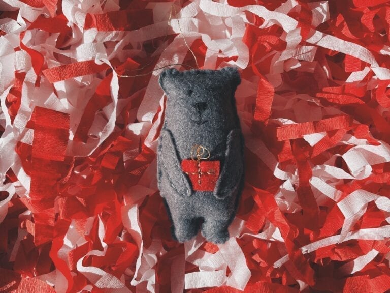 Christmas bear, image by Ignacio R, Unsplash