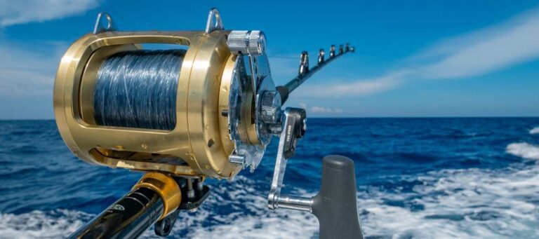 Fishing - striped bass - white wine - Chardonnay - Pouilly Fuisse Domaine Ferret