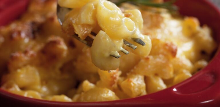 American mac and cheese, macaroni pasta in cheesy sauce