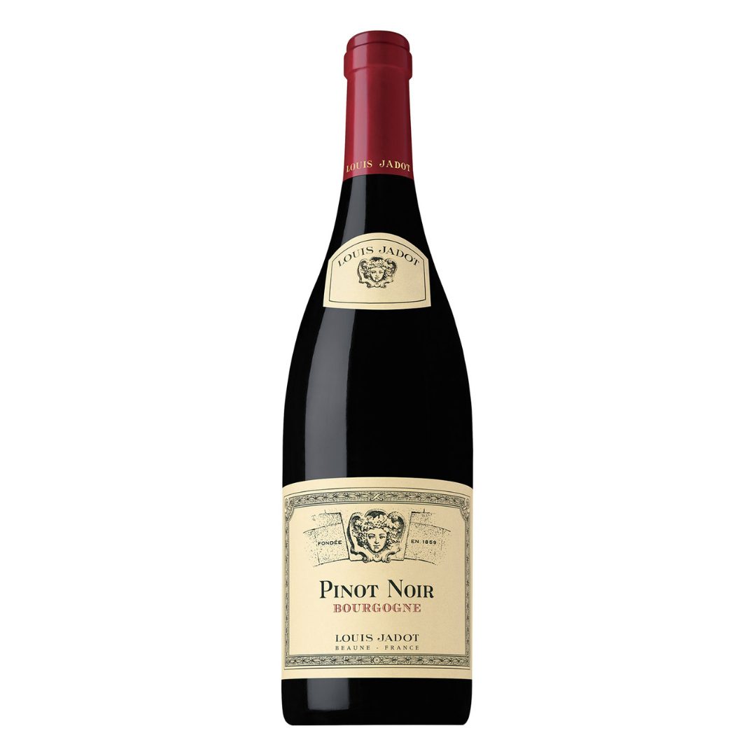 Louis Jadot Pinot Noir square