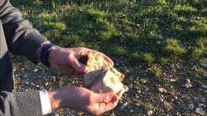 Rocks from the soil in a vineyard in Burgundy, France