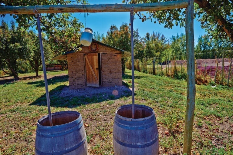 Biodynamic winery Chacra in Argentina