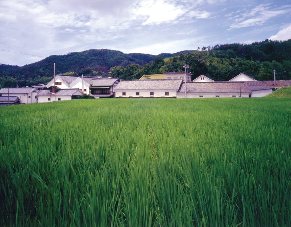 Summer at Marumoto Brewery