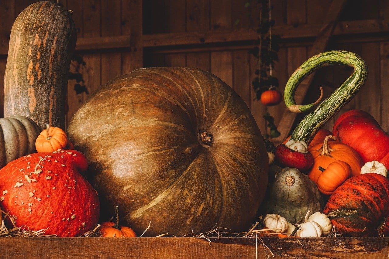 Pumpkins