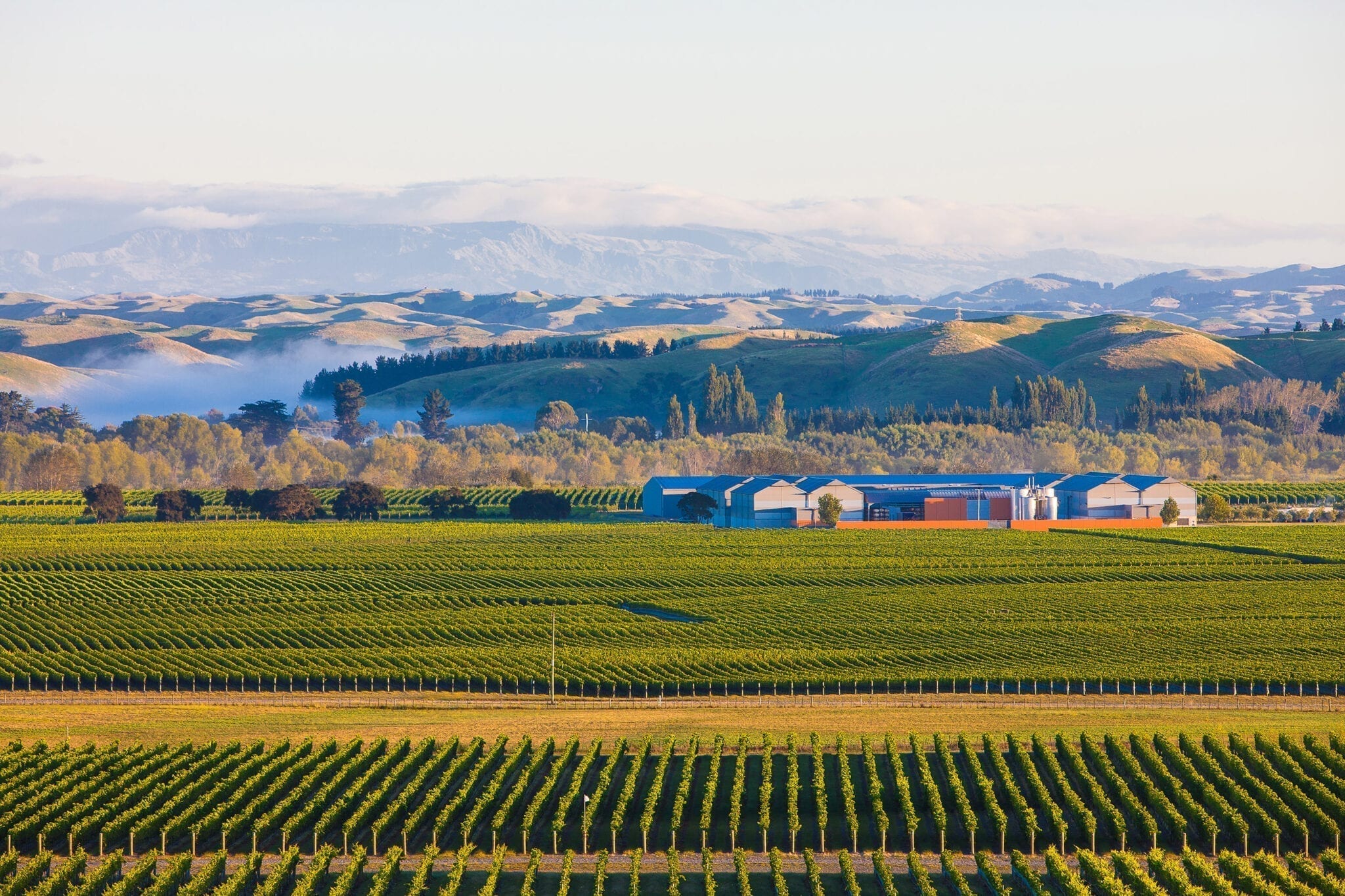 Gimblett Gravels, New Zealand, winery, Craggy Range