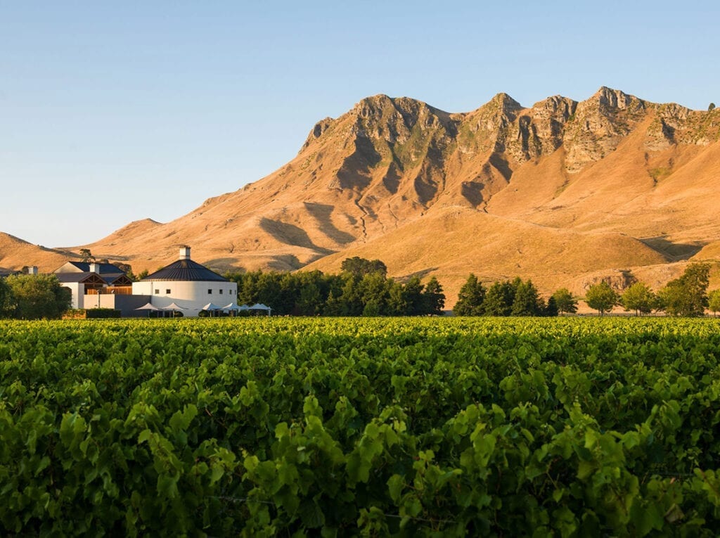 Giants Winery, Craggy Range, New Zealand