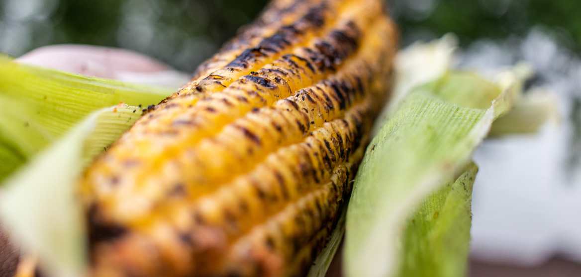 Grilled corn on the cob