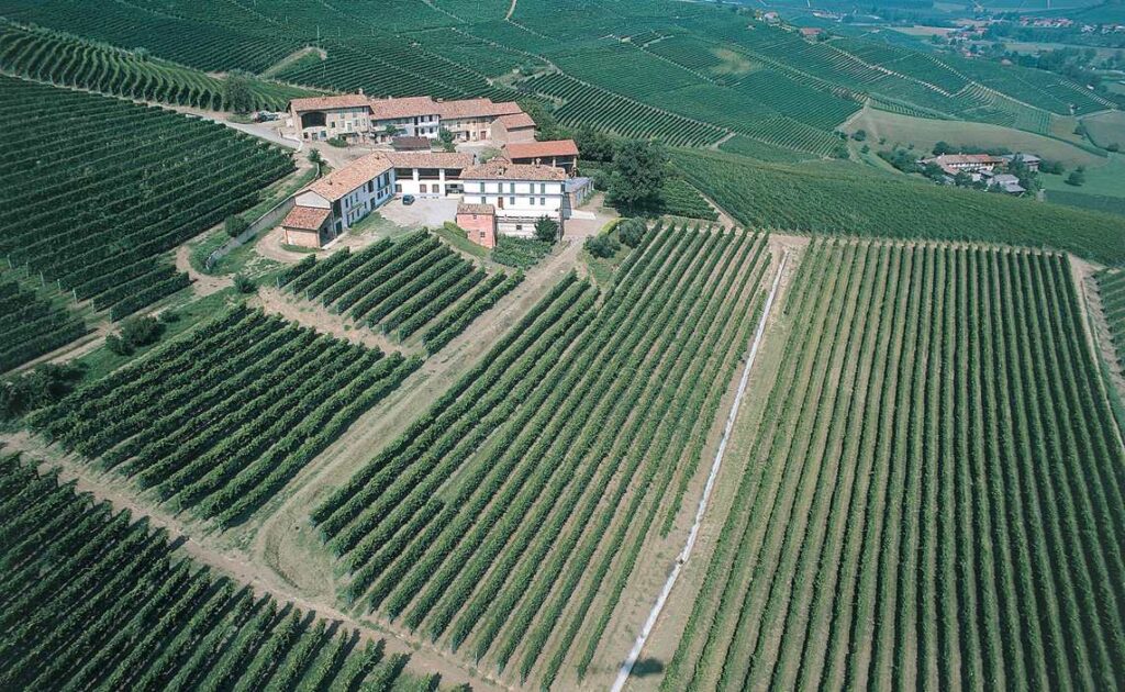 Michele Chiarlo aerial vineyard view of Cerequio in Piedmont, Italy