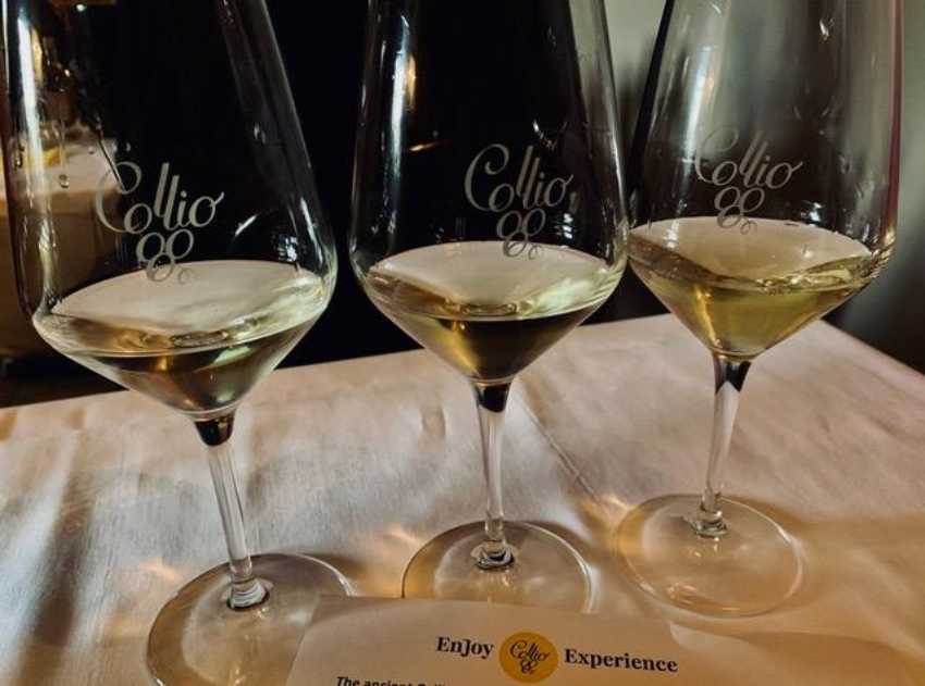 Collio wines