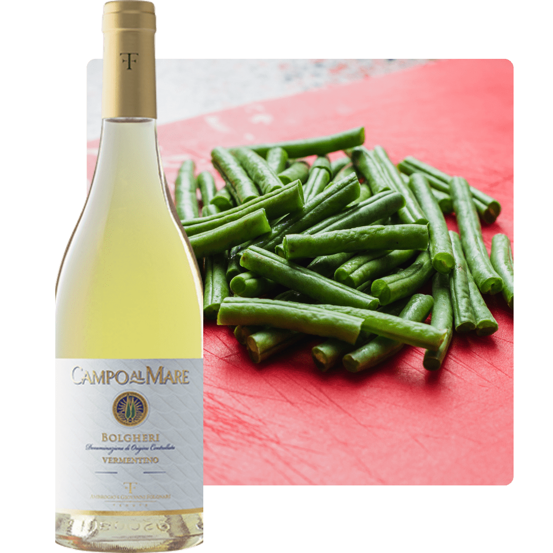 Bolgheri Vermentino Pairing