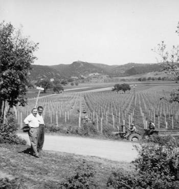 Silvio Nardi at Casale del Bosco in 1958