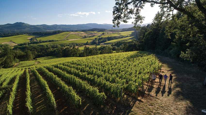 RÈsonance Vineyard, Yamhill-Carlton AVA, Willamette Valley, Oregon