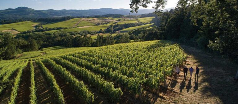 RÈsonance Vineyard, Yamhill-Carlton AVA, Willamette Valley, Oregon