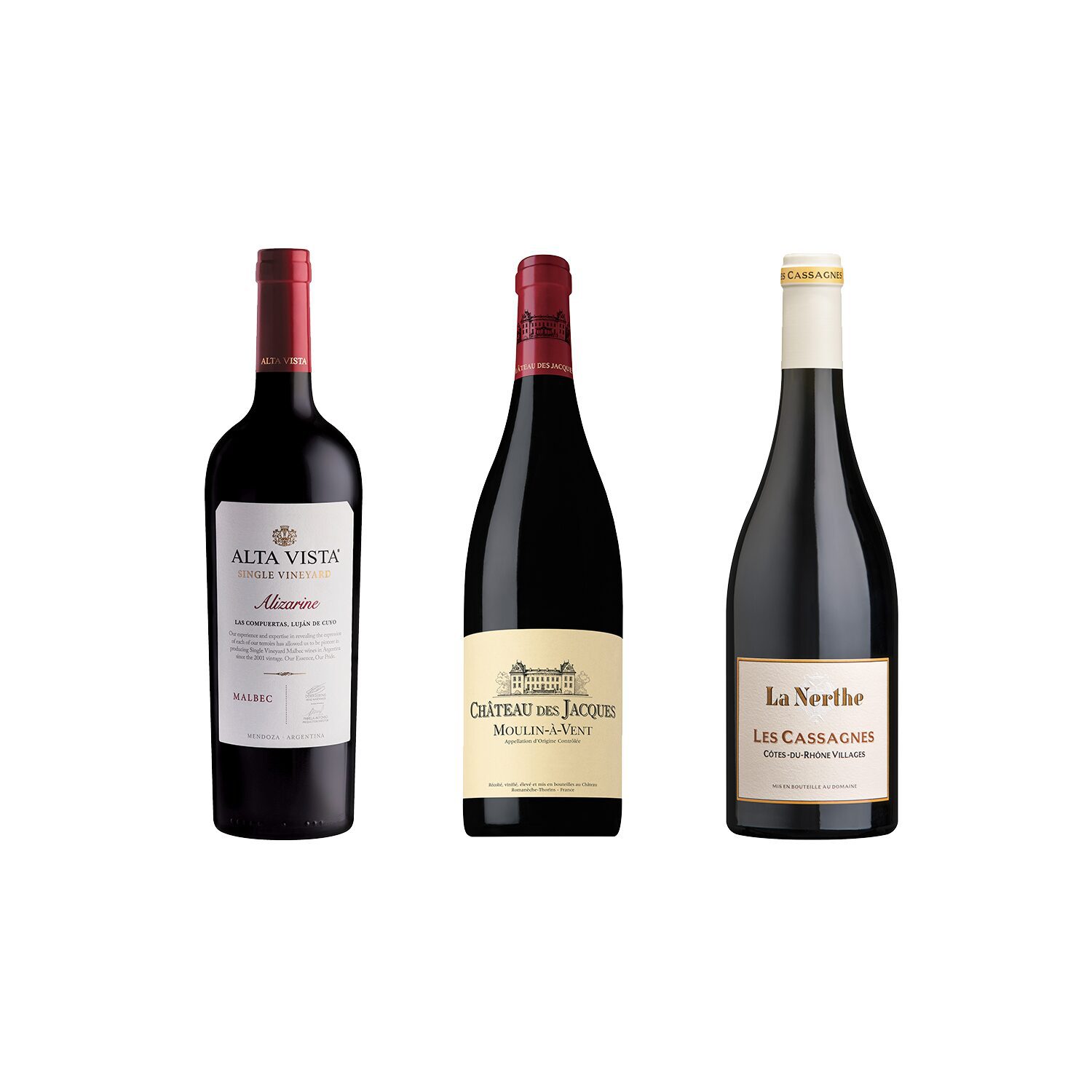 cellar starter wines, red wines