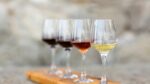Dry vs. Sweet Wine: What’s the Real Difference? - Wine 365