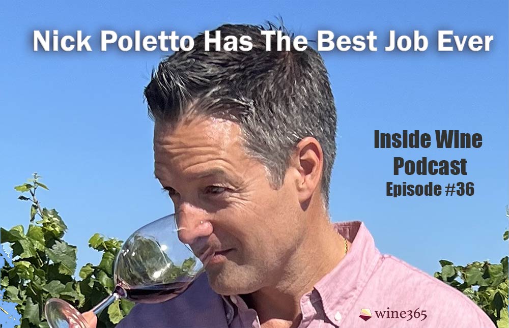 Wine Educator Nick Poletto dipping his nose into a wine glass to smell red wine with a vineyard in the background